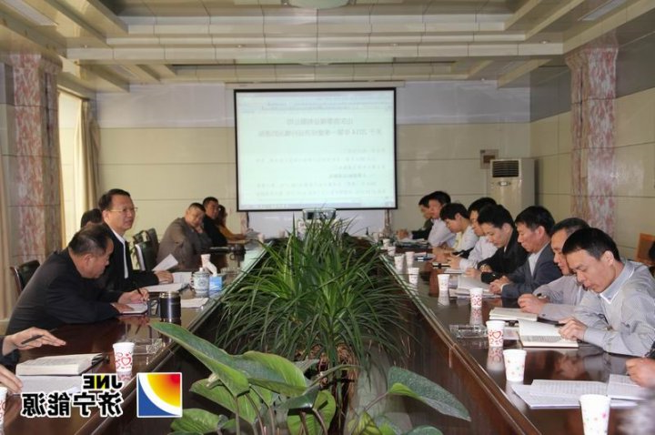 鲁泰煤业公司召开一季度经济运行分析会