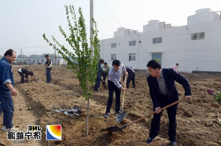 安居煤矿组织义务劳动为矿区绿化做功课