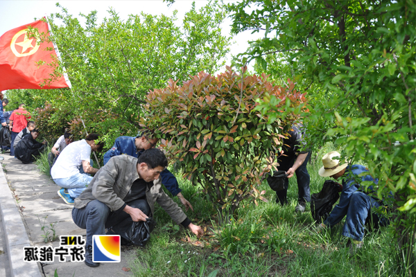 义桥煤矿团委：组织青年义务劳动