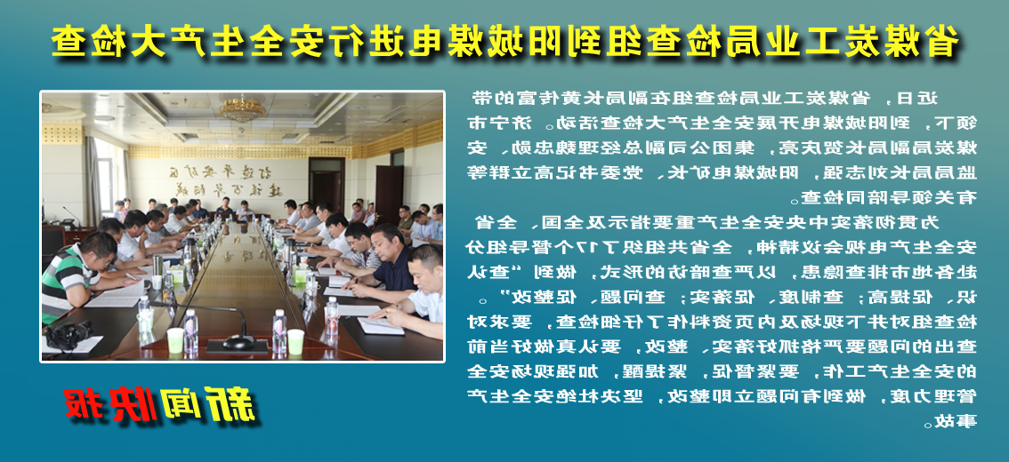 【图文】省煤炭工业局检查组到阳城煤电进行安全生产大检查