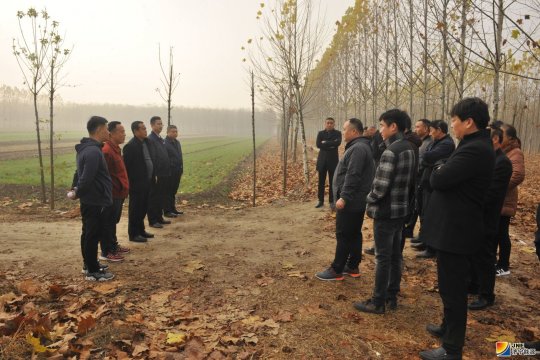 运河煤矿塌陷地治理工作拉开序幕