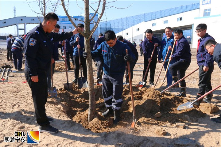 2019年3月12日，济矿物流公司开展“播种绿色 绿化家园”主题植树活动 (2).jpg