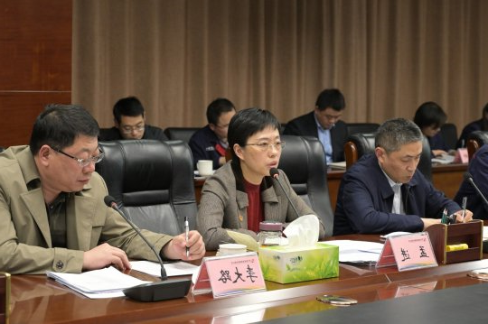 集团公司召开党建工作例会