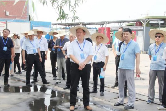 陈慷到跃进港提升改造项目现场调研