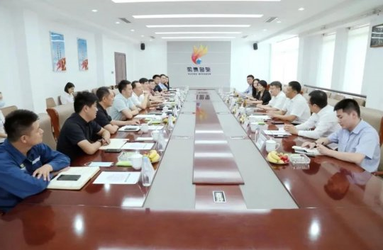 张广宇陪同丰家雷对接荣信集团推动产业合作