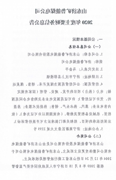 山东济矿鲁能煤电公司2020年度主要财务信息公告