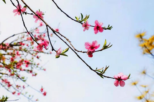 赴一场与“春天”的约会