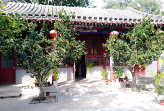 伴我长大的四合院