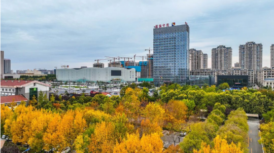 想了一百个关于秋天的文案，都不及这一刻恰好吹来的晚风