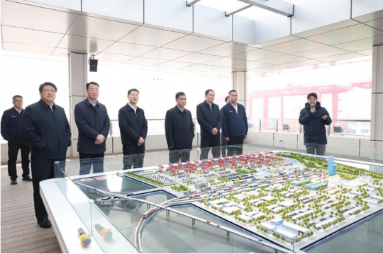 薛城区委主要负责同志到龙拱港调研