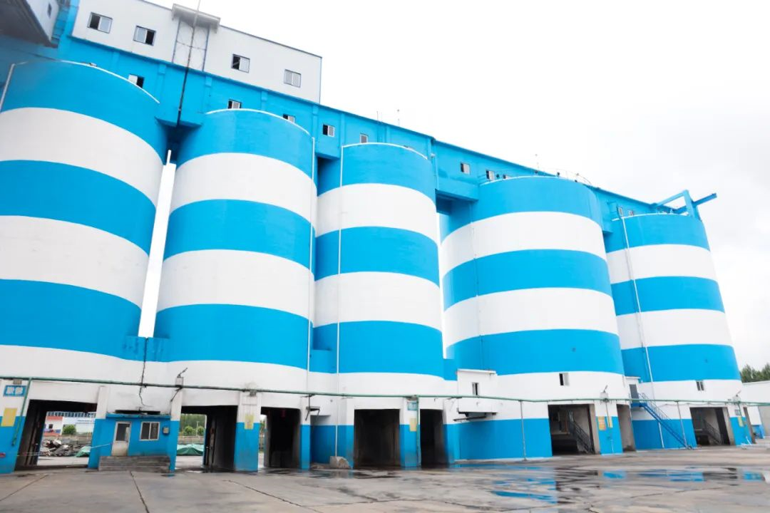 1690026810675381.jpg 640 (6).jpg