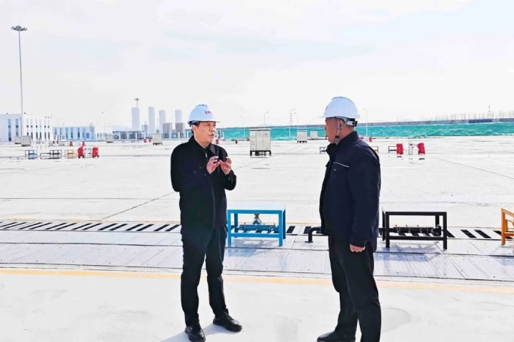 张广宇到新能船业和太平港指导复工复产工作