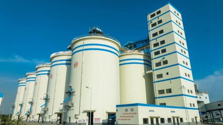 江北粮食物流园聚焦粮食安全，推动粮食产业转型升级