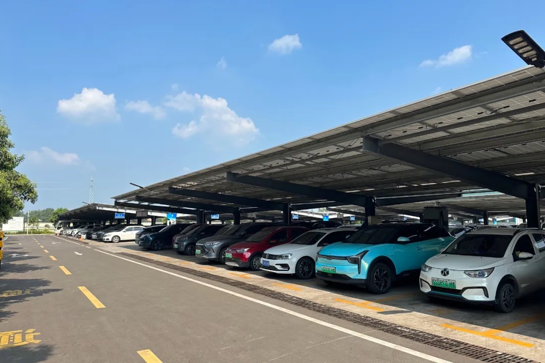 1726296753780553.jpg bcdeb9651c73257cb8fa758c6774e90.jpg