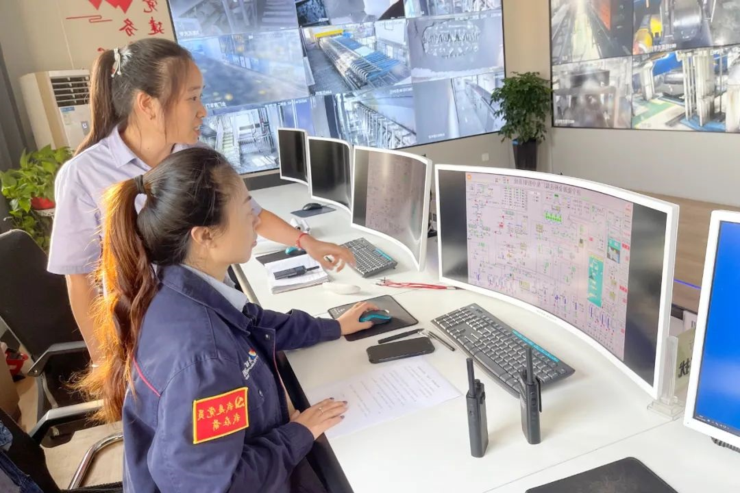 1726923940140528.jpg 0001.jpg