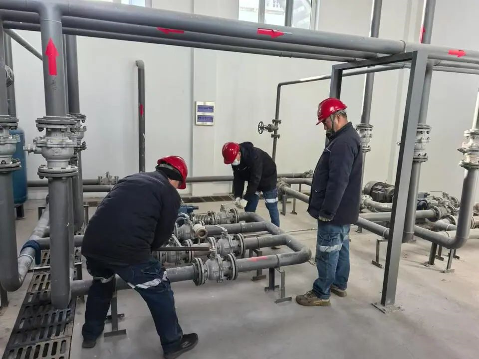 1733642947444475.jpg 0001.jpg