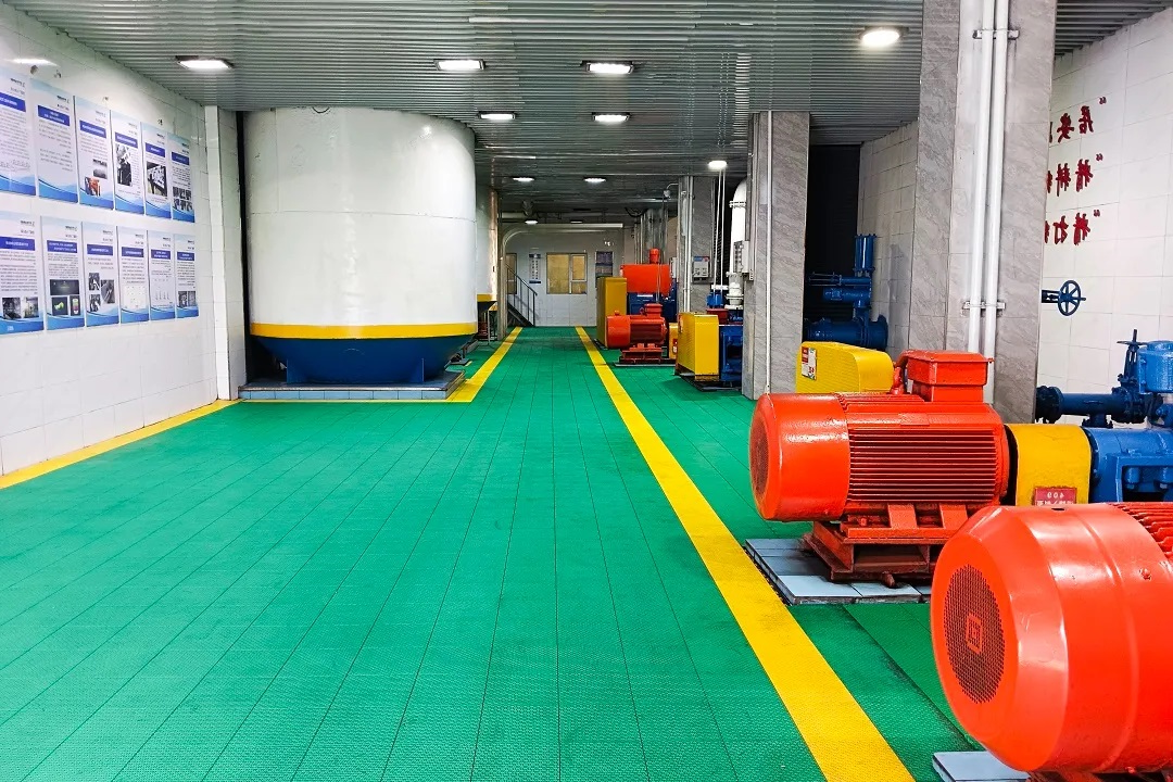 1735005582890671.jpg 003.jpg