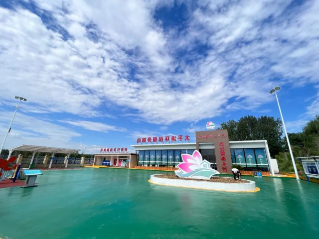 双提升工作系列报道㉔丨太平港多维施策促“双提升”