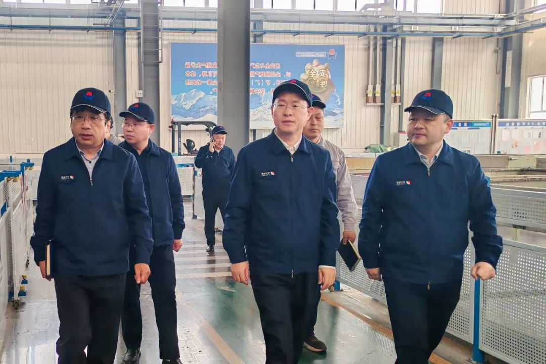 1740537727744535.jpg 0006.jpg