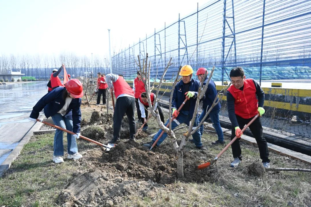 1740894100448348.jpg 0003.jpg