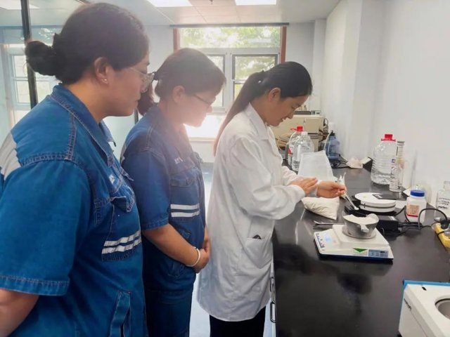 济州粮食产业园夏粮颗粒归仓，损耗同比降30%