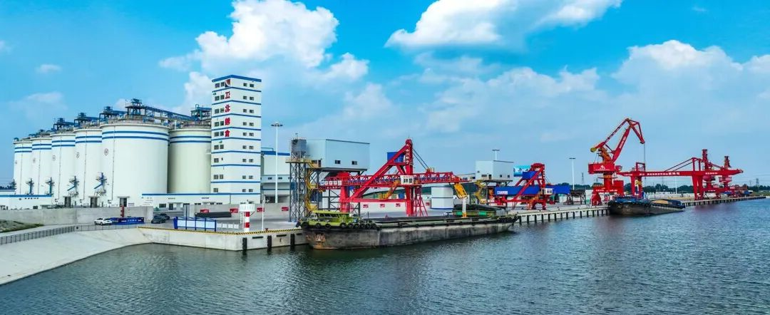 1764470361120489.jpg 640 (11).jpg