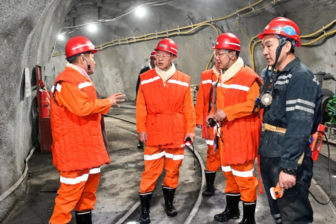 1764558971718716.jpg 02.jpg